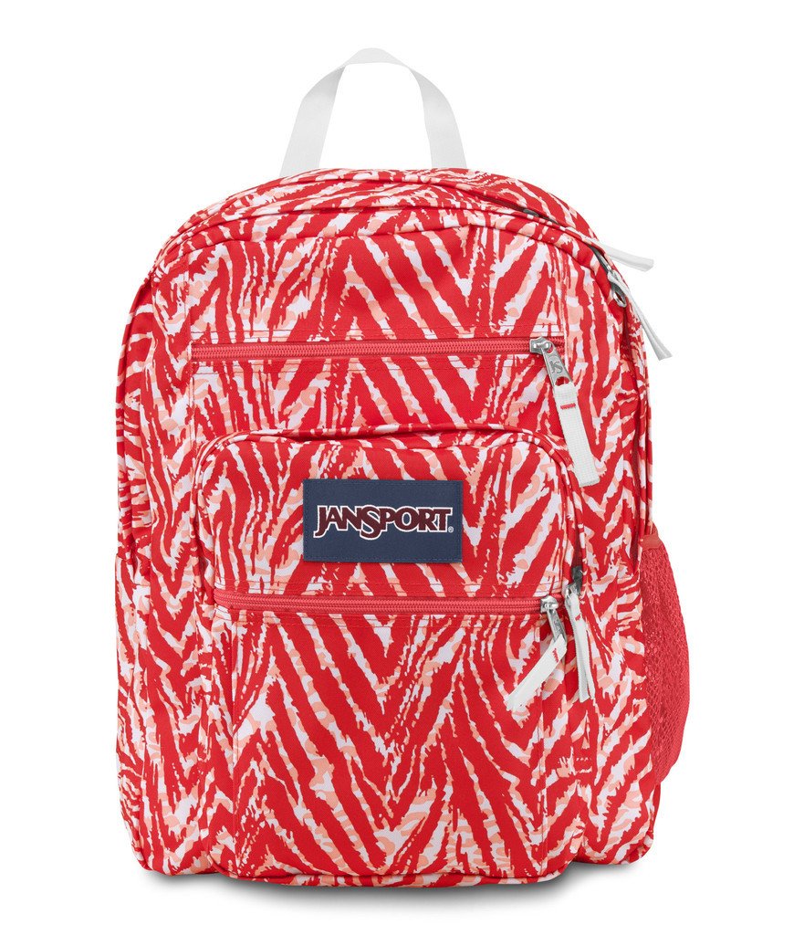 JanSport Big Student Coral Peaches Wild Heart Backpack –