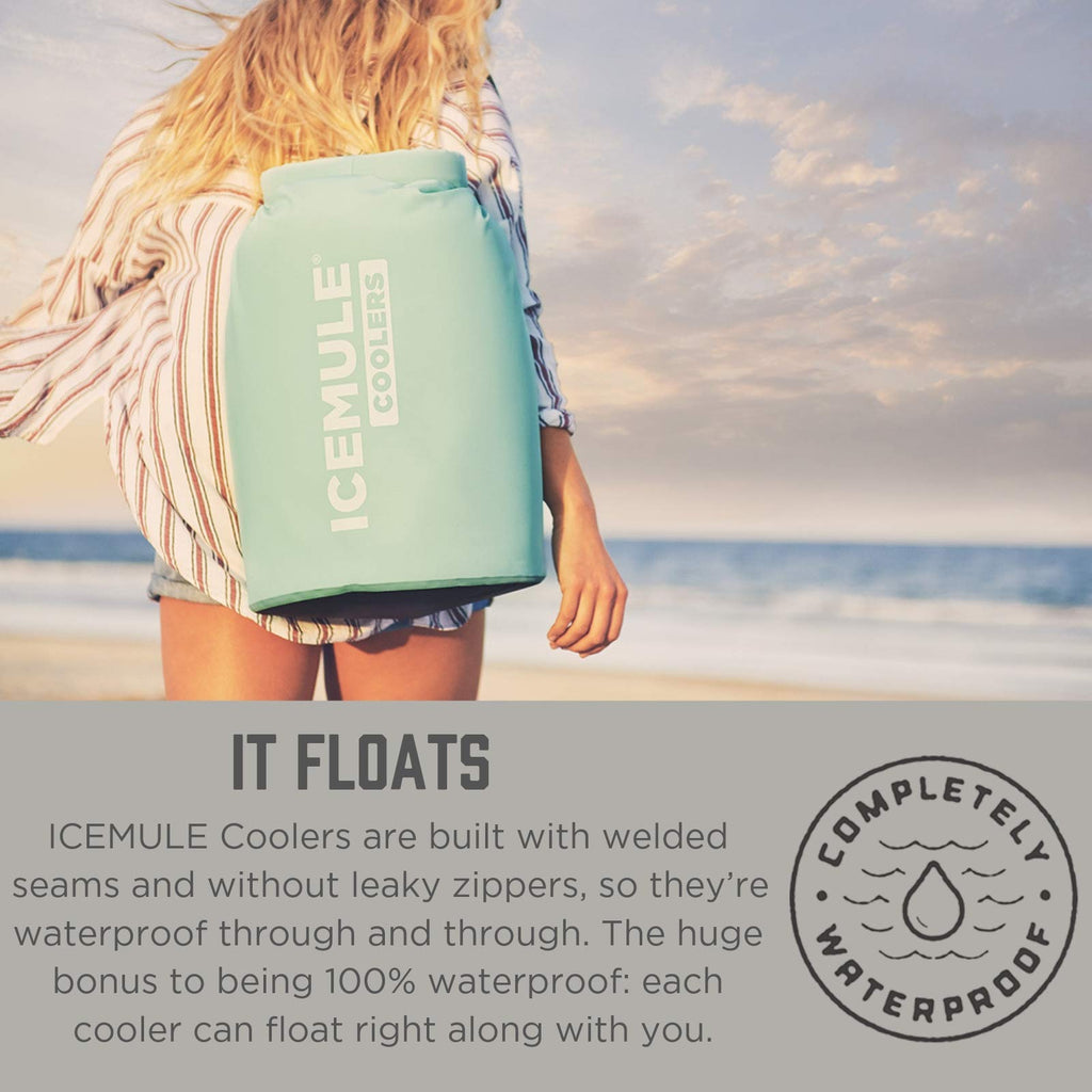 icemule classic insulated mini backpack cooler bag IceMule Classic Insulated Backpack Cooler Bag
