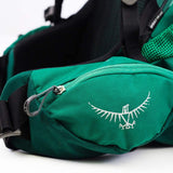 Osprey Packs Rook 50 Backpacking Pack, Mallard Green, One Size - backpacks4less.com