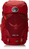 Osprey Packs Ace 38 Kid's Backpack - backpacks4less.com