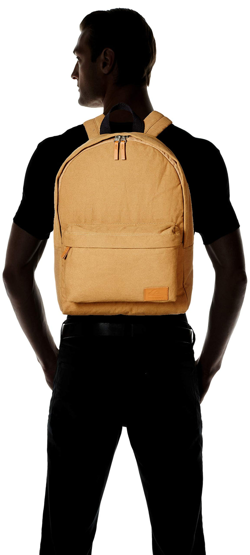 Quiksilver Men's Everyday Poster Canvas Backpack, caribou, 1SZ - backpacks4less.com