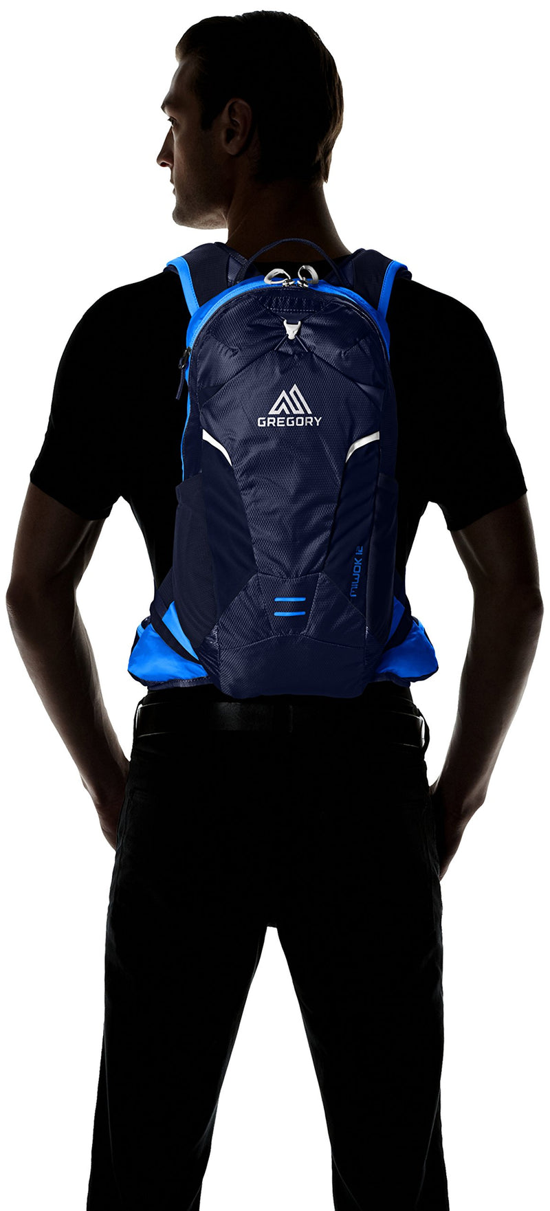 Gregory Mountain Products Miwok 12 Liter Men's Daypack, Navy Blue, One Size - backpacks4less.com