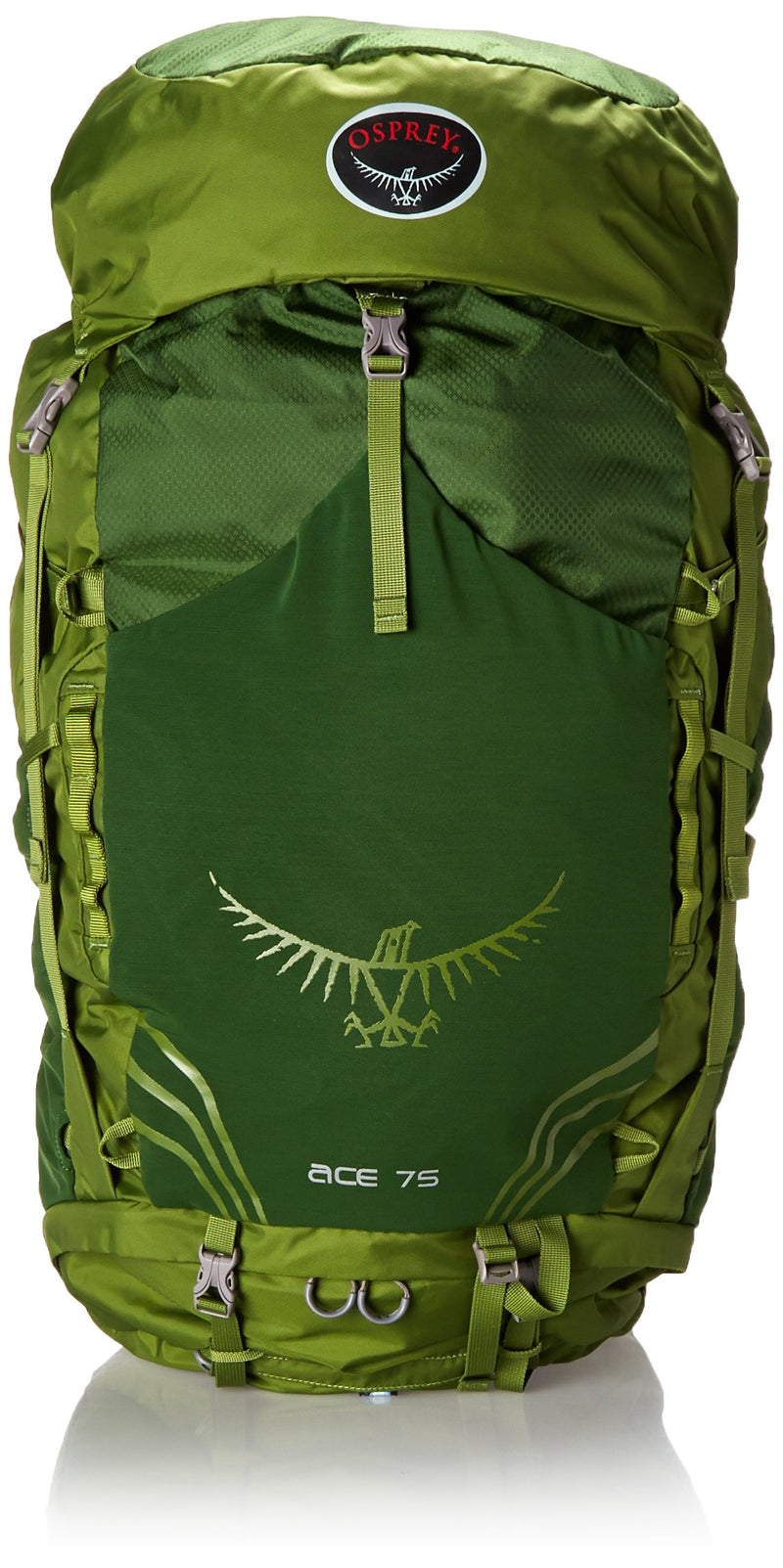 Osprey Unisex-Kid's Ace 75, Ivy Green, One Size - backpacks4less.com