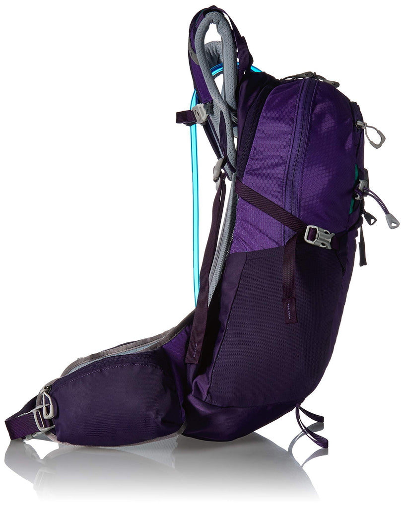 Gregory Mountain Products Juno 25 Liter 3D-Hydro Women's Daypack, Acai Purple, One Size - backpacks4less.com