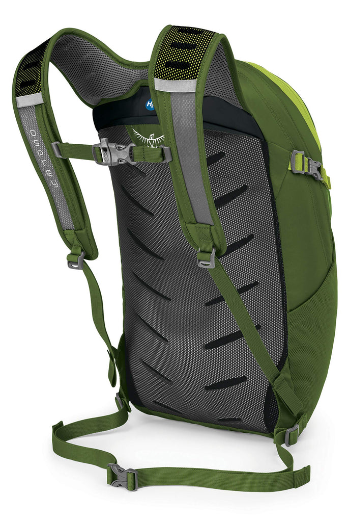 Osprey Packs Daylite Plus Daypack, Granny Smith Gr - backpacks4less.com