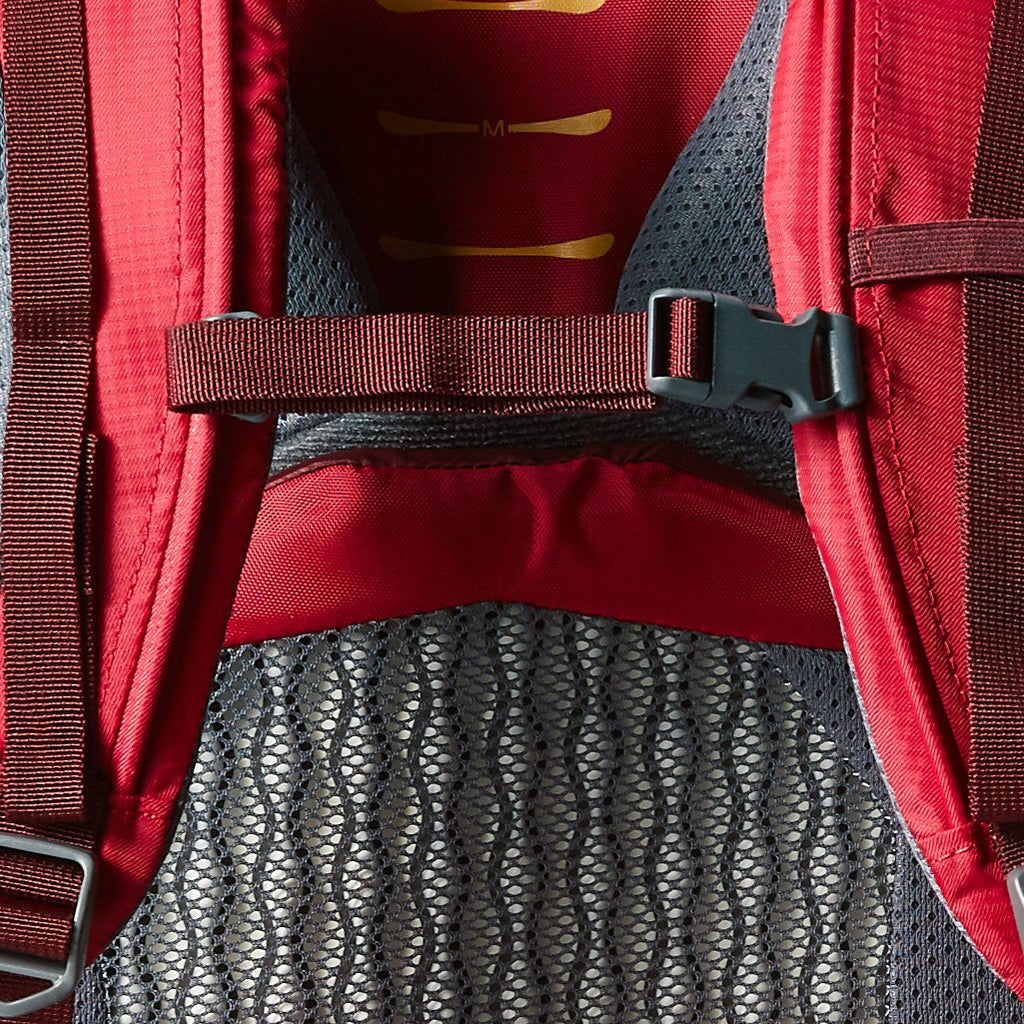 gregory amber 70l backpack - women's 81Y01idAnUL_1024x1024.jpg?v=1577990105