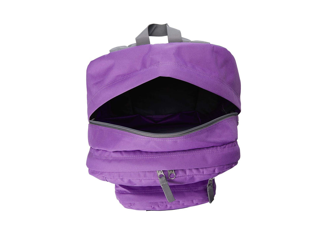 cool student backpack jansport purple striped JanSport Unisex Big Student Vivid Lilac One Size