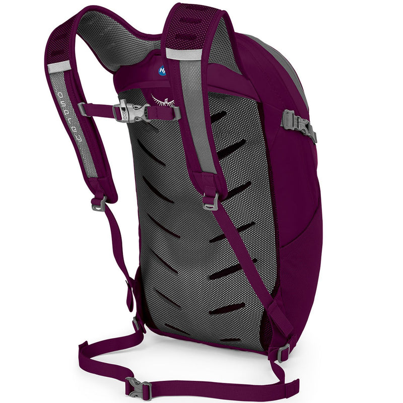 Osprey Packs Daylite Plus Daypack, Eggplant Purple - backpacks4less.com