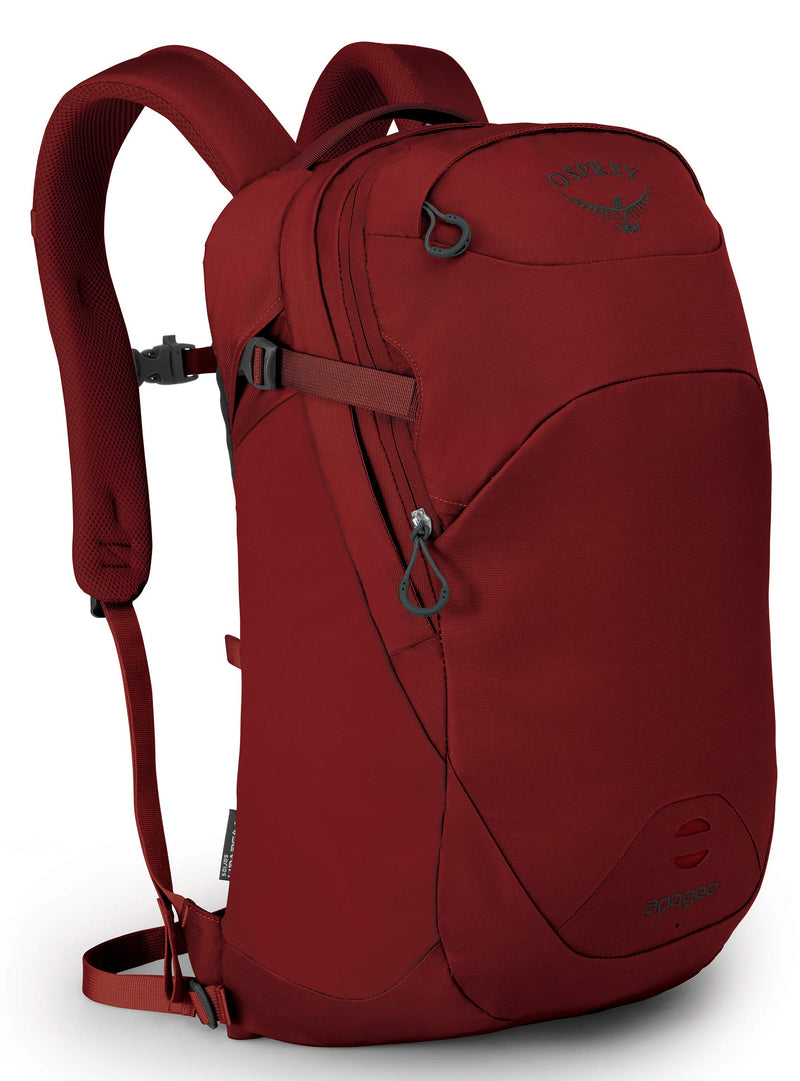 Osprey Packs Apogee Men's Laptop Backpack - backpacks4less.com