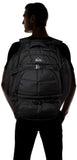 Quiksilver Men's Fetch Backpack, black, 1SZ - backpacks4less.com