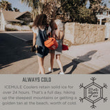 IceMule Classic Insulated Backpack Cooler Bag - Hands-Free, Collapsible, and Waterproof, This Portable Cooler is an Ideal Sling Backpack for Hiking, The Beach, Picnics and Camping-Small, Crimson - backpacks4less.com