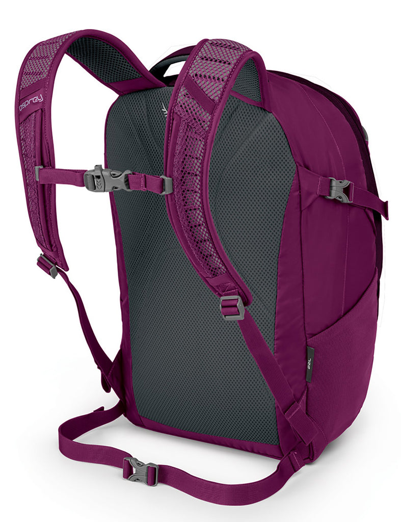 north face eggplant purple backpack Osprey Packs Flare Backpack