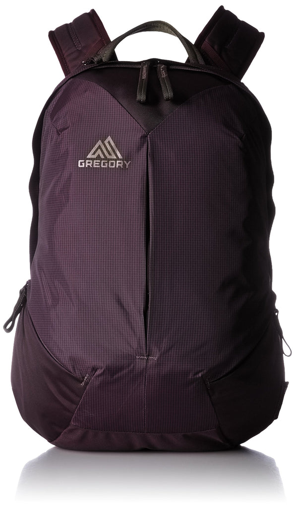Gregory Mountain Products Sketch 18 Liter Daypack, Zin Purple, One Siz –