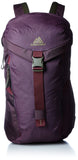 Gregory Mountain Products Sketch 28 Liter Daypack, Zin Purple, One Size - backpacks4less.com