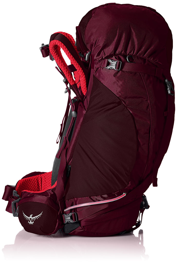 Osprey Packs Women's Kyte 46 Backpack, Purple Calla, Small/Medium - backpacks4less.com