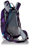 Gregory Mountain Products Juno 25 Liter 3D-Hydro Women's Daypack, Acai Purple, One Size - backpacks4less.com