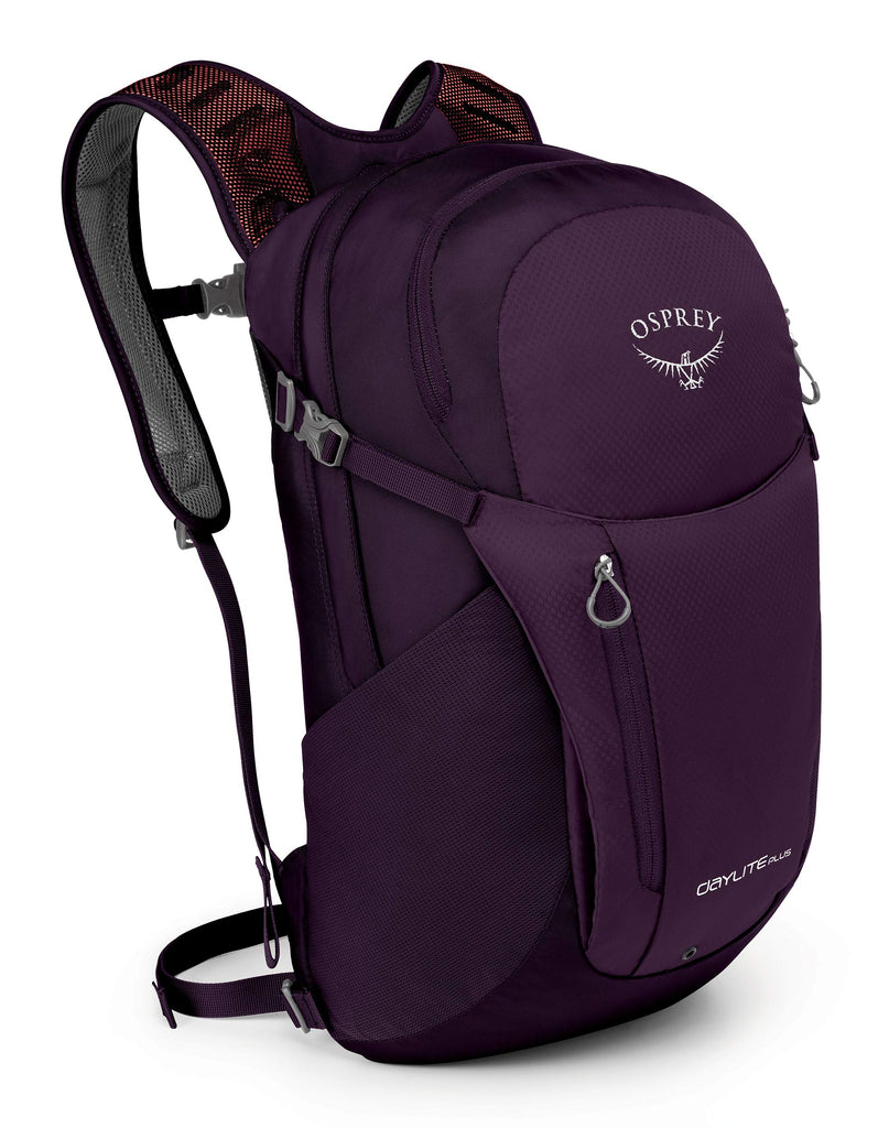 Osprey Packs Daylite Plus Daypack, Amulet Purple–