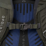 Osprey Packs Kestrel 38 Backpack, Picholine Green, Medium/Large - backpacks4less.com